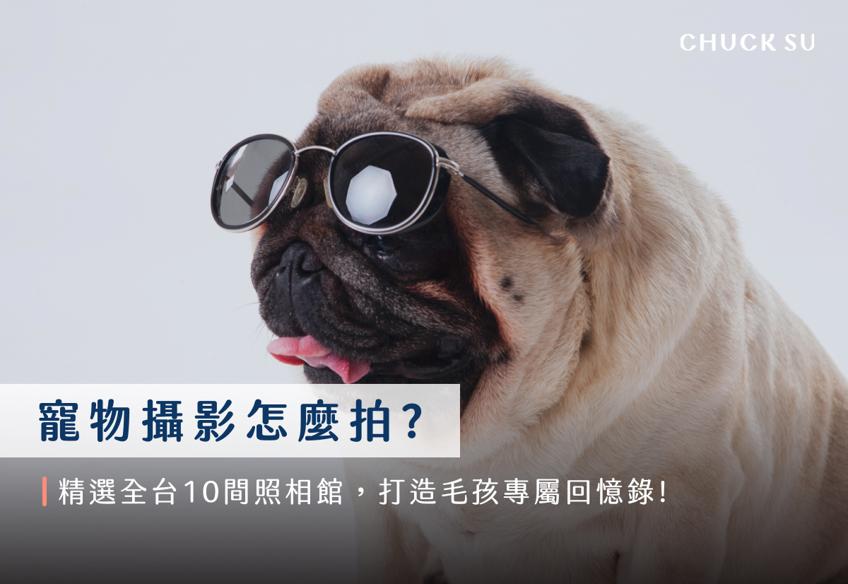 寵物攝影怎麼拍？精選全台10間照相館，打造毛孩專屬回憶錄！